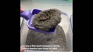 What Is The Best Clay Clumping Cat Litter [upl. by Liva]