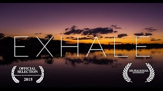 EXHALE  A must watch for all Freedivers [upl. by Ardnalak154]