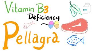 Pellagra Vitamin B3 Deficiency  NAD NADH Nicotinic Acid  Diet amp Nutrition [upl. by Llewop]