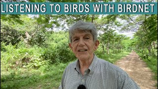 A GUIDE TO UNDERSTANDING BIRD SONG AND CALLS [upl. by Constantino]