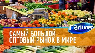 Галилео 🏬 Самый большой оптовый рынок в мире [upl. by Sherurd621]