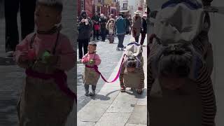 tibet cute tibettours traveldestinations [upl. by Maisey8]