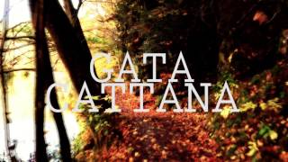 GATA CATTANA  EFEMÉRIDES [upl. by Assyl]