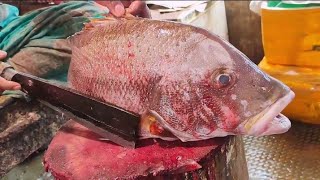 Huge Barramundi fish cutting skill live in fish market  big fish cutting skill  fish cutting [upl. by Gawlas]