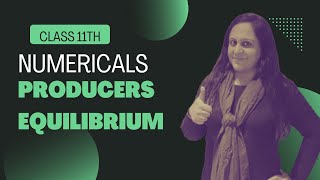 Numericals of Producer Equilibrium  Class 11  Microeconomics  Eco by Nidhi Miglani [upl. by Gayel]