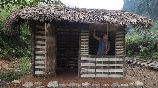 Primitive Technology Hut  Full video PrimitiveSkills [upl. by Collete]