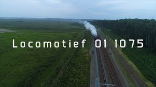 SSN stoomlocomotief 01 1075 door Oostvaardersplassen  Drone Video 4K [upl. by Irahk]