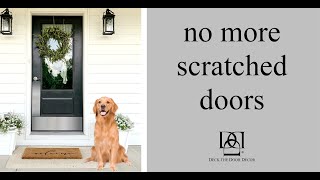 The Best Way to Protect Your Door From Pet Scratches [upl. by Adnuhsed]