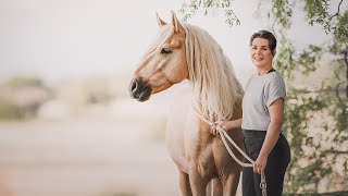 Trainingslevel im Überblick Level B Basis Longieren Akademische Reitkunst amp Horsemanship [upl. by Nyrehtak]