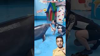 Dolphin love🥰humans dolphinlove dolphin swimming animals shortsfeed comedyvideos funnyshorts [upl. by Kcirnek]