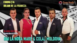 CHEFUL SOFERILOR  COLAJ 2016  FORMATIA IULIAN DE LA VRANCEA [upl. by Rickard]