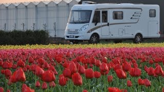 Keukenhof Olanda in camper nel paradiso dei tulipani [upl. by Armil]