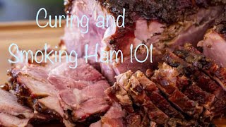 How to Cure Brine and Smoke A Ham At Home EASY  Smokehouse [upl. by Ardnyk945]