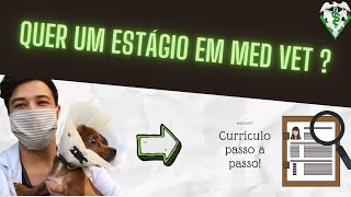 Como CONSEGUIR UM ESTÁGIO NA MEDICINA VETERINÁRIA  COMO MONTAR UM CURRÍCULO MED VET [upl. by Tnecillim]