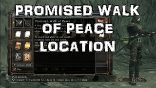 Dark Souls 2 Promised Walk of Peace Location The Sunken King DLC [upl. by Ecirtael922]