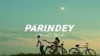 Parindey Slowed  Reverb  B Praak  New Punjabi Song 2024 [upl. by Enyalaj621]