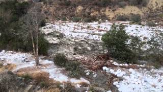 Wall Of Water Incredible flash flood in Forest Falls today PT 2 [upl. by Couchman256]