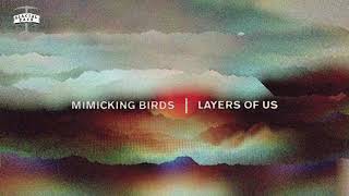 Mimicking Birds  Belongings Official Audio [upl. by Eessej281]