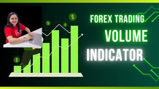 Best Volume Indicator  Forex Trading for Beginners [upl. by Maillil]