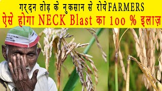 धान में गर्दन तोड़ बीमारी का सबसे बढ़िया ईलाज  neckblast blastdiseaseofrice tatarallisfujione [upl. by Drauode897]