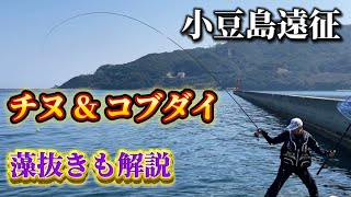 【チヌ釣り】遠征で小豆島♪激渋でも0シブ全誘導で狙います！ [upl. by Natale]