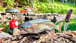 GIANT TROUT Fishing in the MOUNTAINS SOLO Backpacking Catch Cook Camp pt2 [upl. by Illac]