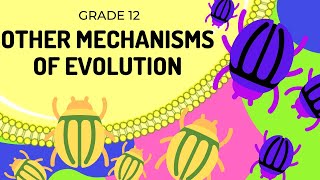 Other mechanisms of Evolution  EASY TO UNDERSTAND [upl. by Jenkins]