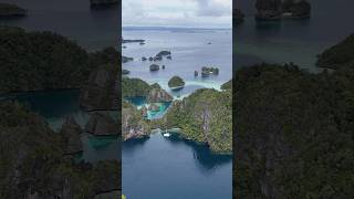 A day exploring Jellyfish Lake  Heart Reef  Remote Indonesia  Sailing Life [upl. by Emilia429]