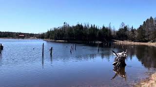 Neds Pond Stephenville Newfoundland [upl. by Som825]