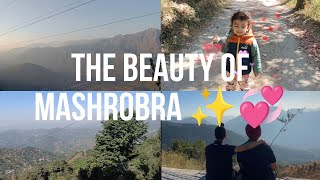 Exploring the beauty of Mashobra✨💖VLOG16  HSK Vines [upl. by Bellanca]