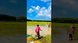 bangladesh viralvideo btv 90severgreen নব্বইদশক [upl. by Guido]