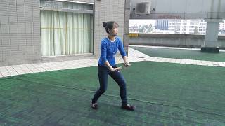 Wild Goose Qigong 2nd 64 2017 Wuhan China [upl. by Edyaw206]