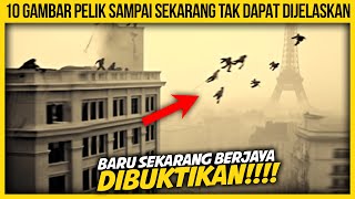 10 GAMBAR PELIK DITEMUI SAMPAI SEKARANG TAK DAPAT DIJELASKAN [upl. by Nerat]