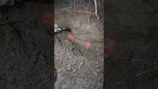 I found a real box treasur ehunt metaldetecting treasurehunt [upl. by Alihet]