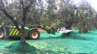 Macchina MX3 SICMA per la raccolta olive al lavoro 2011MOV [upl. by Zobkiw808]