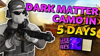 I unlocked the DARK MATTER CAMO on Black Ops 6 in 5 DAYS [upl. by Iyre673]