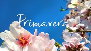 Detox di Primavera  Come disintossicarsi con lo Yoga [upl. by Yreva]