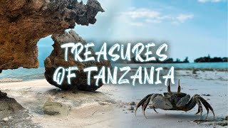 Treasures of Tanzania  DJI Mini 2 4K [upl. by Ettenajna]