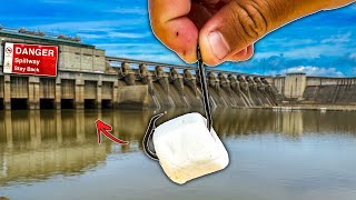 Fishing for Spillway MONSTERS w Unusual Bait BIG Fish [upl. by Atinihs]