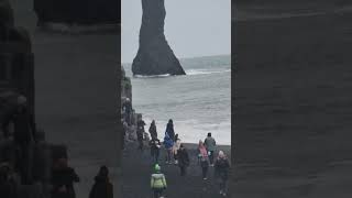 Black sand beach in Icelandtravelvlog shortsfeed gujaratilearnings [upl. by Aikemahs]