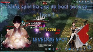 MIR4LEVEL UP SPOT FROM LVL 30100 SANA MAKATULONG SA INYO MGA TOL [upl. by Anisah]