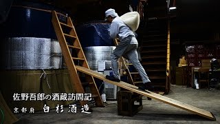 白杉酒造 京都府｜佐野屋 jizakecom 佐野吾郎の酒蔵訪問記201703 [upl. by Idolem]