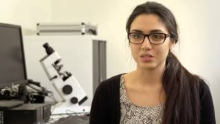 Optometry amp Vision Science at Flinders [upl. by Are996]