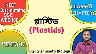 Plastids in BengaliTypes of plastid  ChloroplastLeucoplastChromoplast in Bengali Class11 NEET [upl. by Pia161]