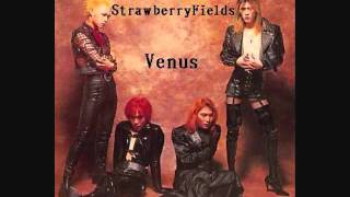 Strawberry Fields  Venus [upl. by Ahsaeym]