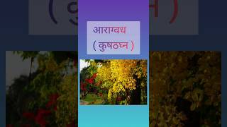 Aragvadha आरग्वध dravyaguna viralvideo ayurveda bams plants bams2ndyear aiapget shots [upl. by Aineles]