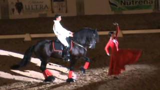 Flamenco Act  PVDA Dancing Horse Challenge 2011 [upl. by Neelon]