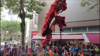 4K Nam Sieng at Sim Lim Square High Pole Lion Dance Cai Qing amp Dragon Dance on 24 Feb 2024 [upl. by Yug]