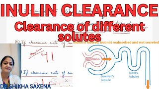 Inulin Clearance with clearance of different solutes [upl. by Felt]