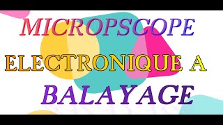 microscope électronique à balayage [upl. by Werdnael381]